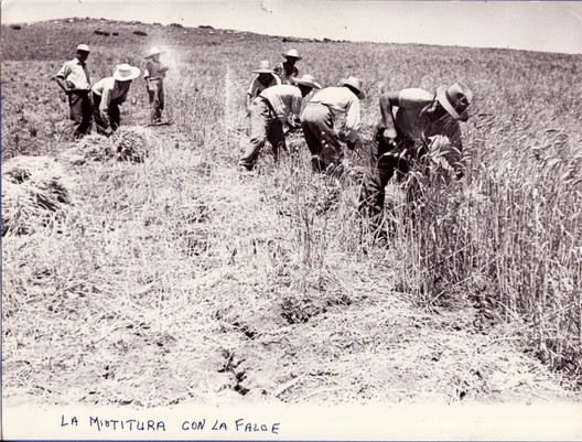 contadini-mietiura_mma95g2n.jpg (90.47 Kb)
Visto o scaricato 290 volte.