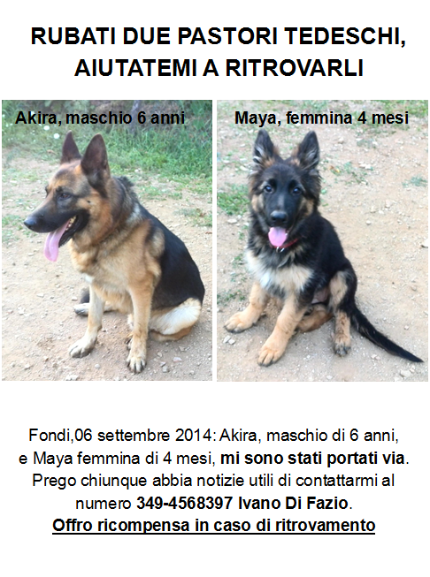Locandina furto Maya e Akira.png (343.32 Kb)
Visto o scaricato 551 volte.