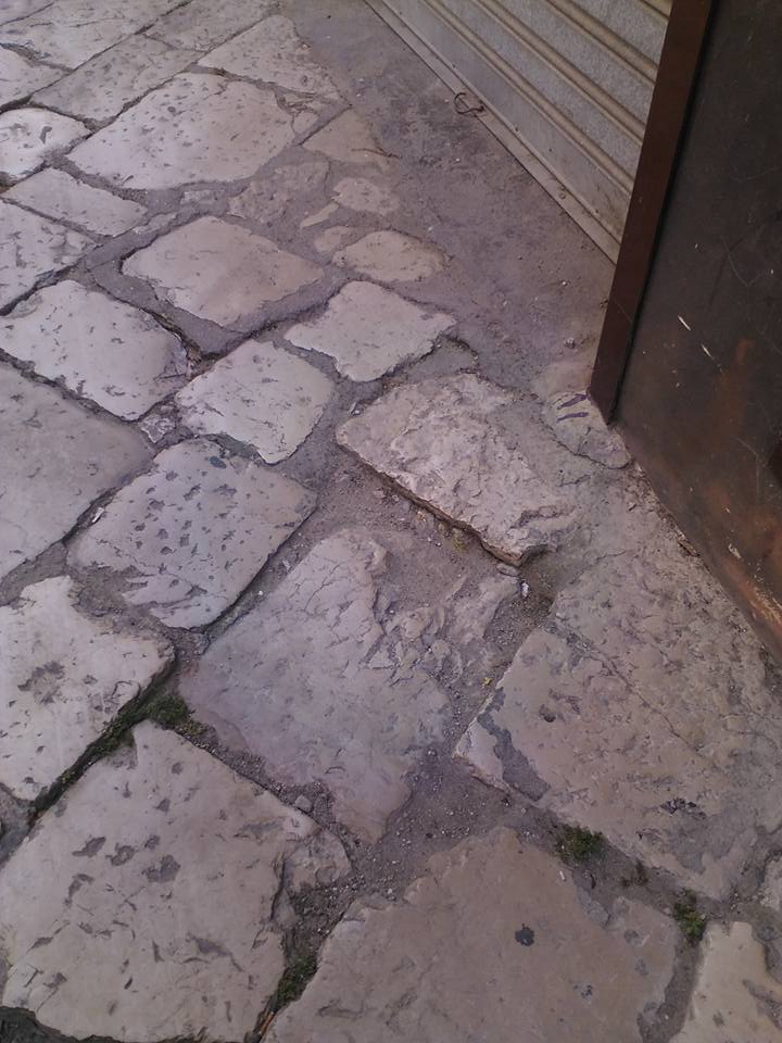 11252589_1485806068378251_251060519031438564_n.jpg