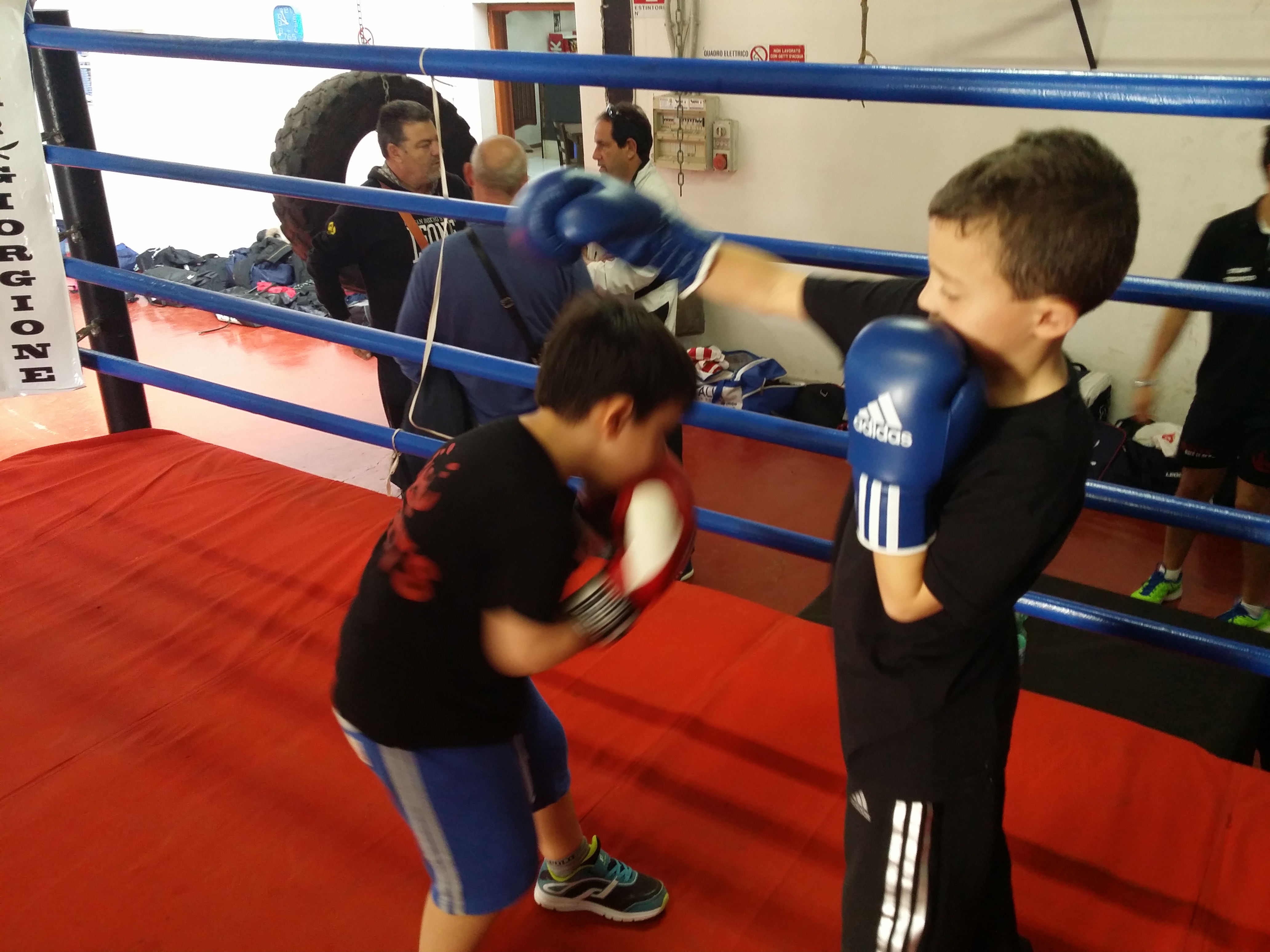 20150419_115809.jpg