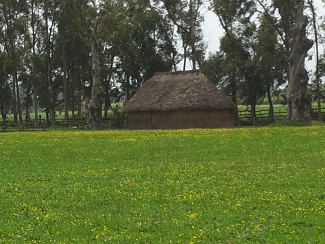 20160424_132343.jpg
