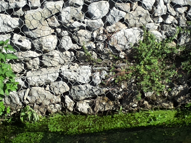 20160505_094835.jpg