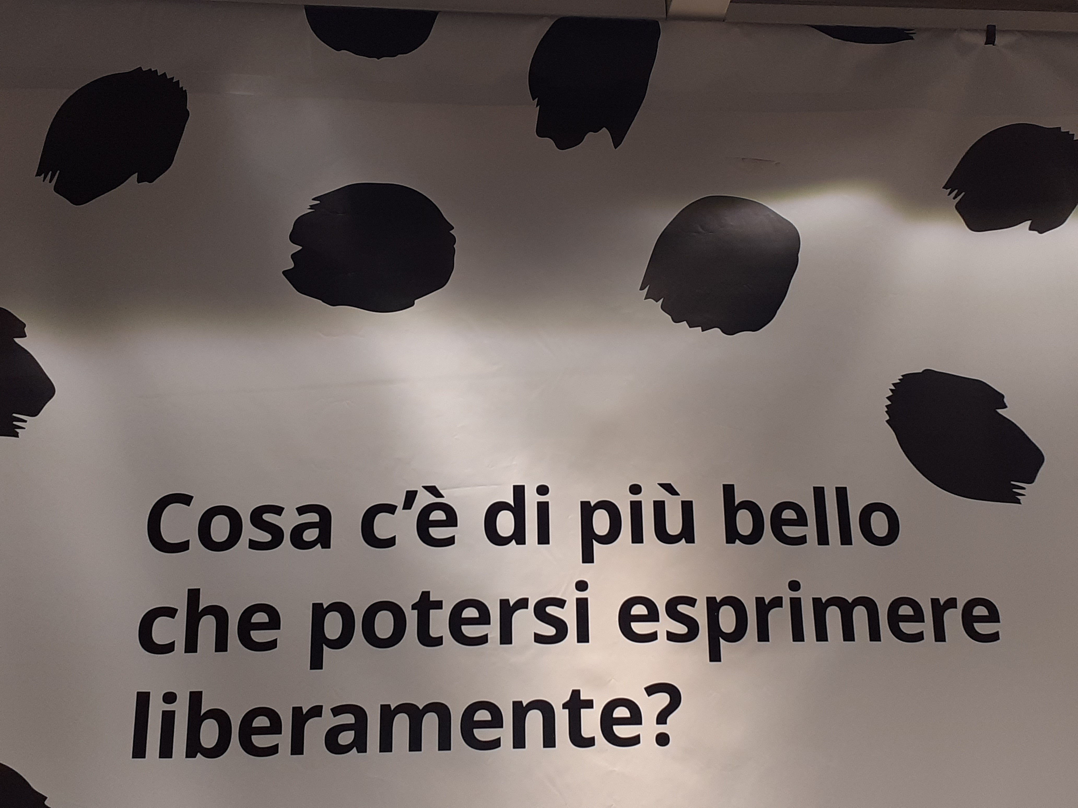 20220820_162730.jpg