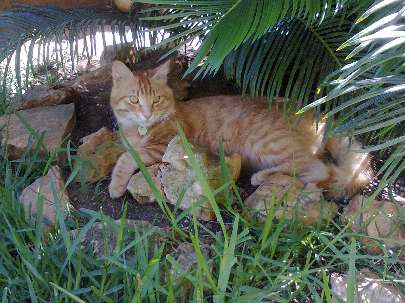axel[1].jpg