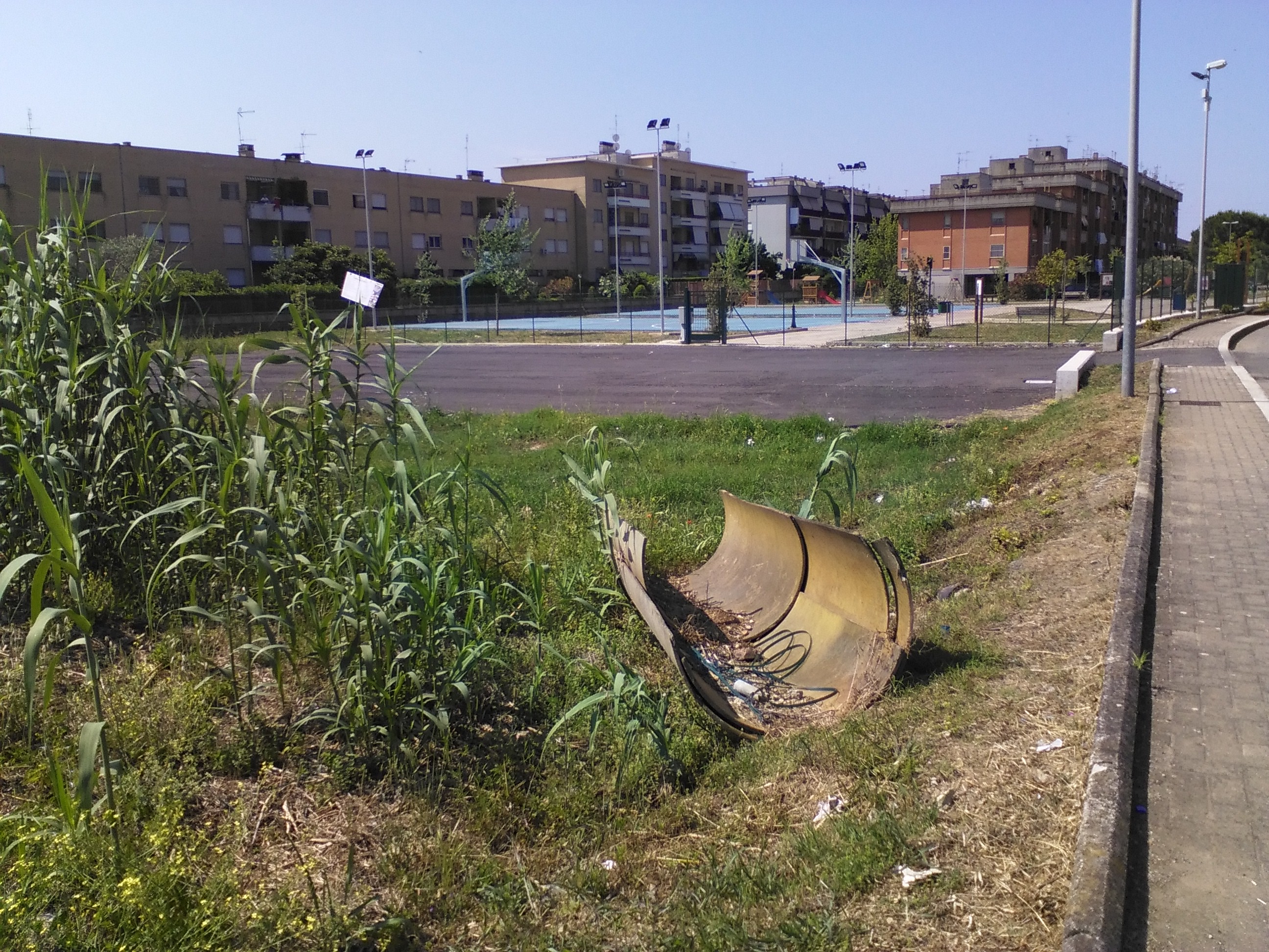 IMG_20150606_102717.jpg