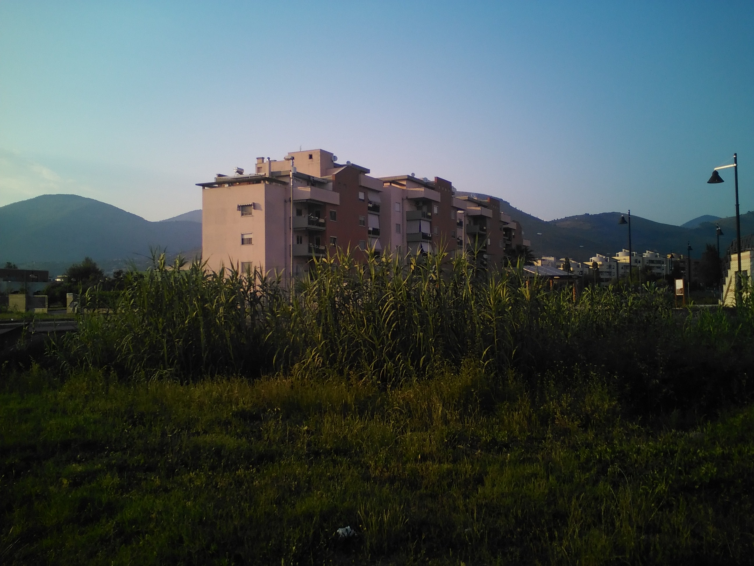 IMG_20150606_192910.jpg