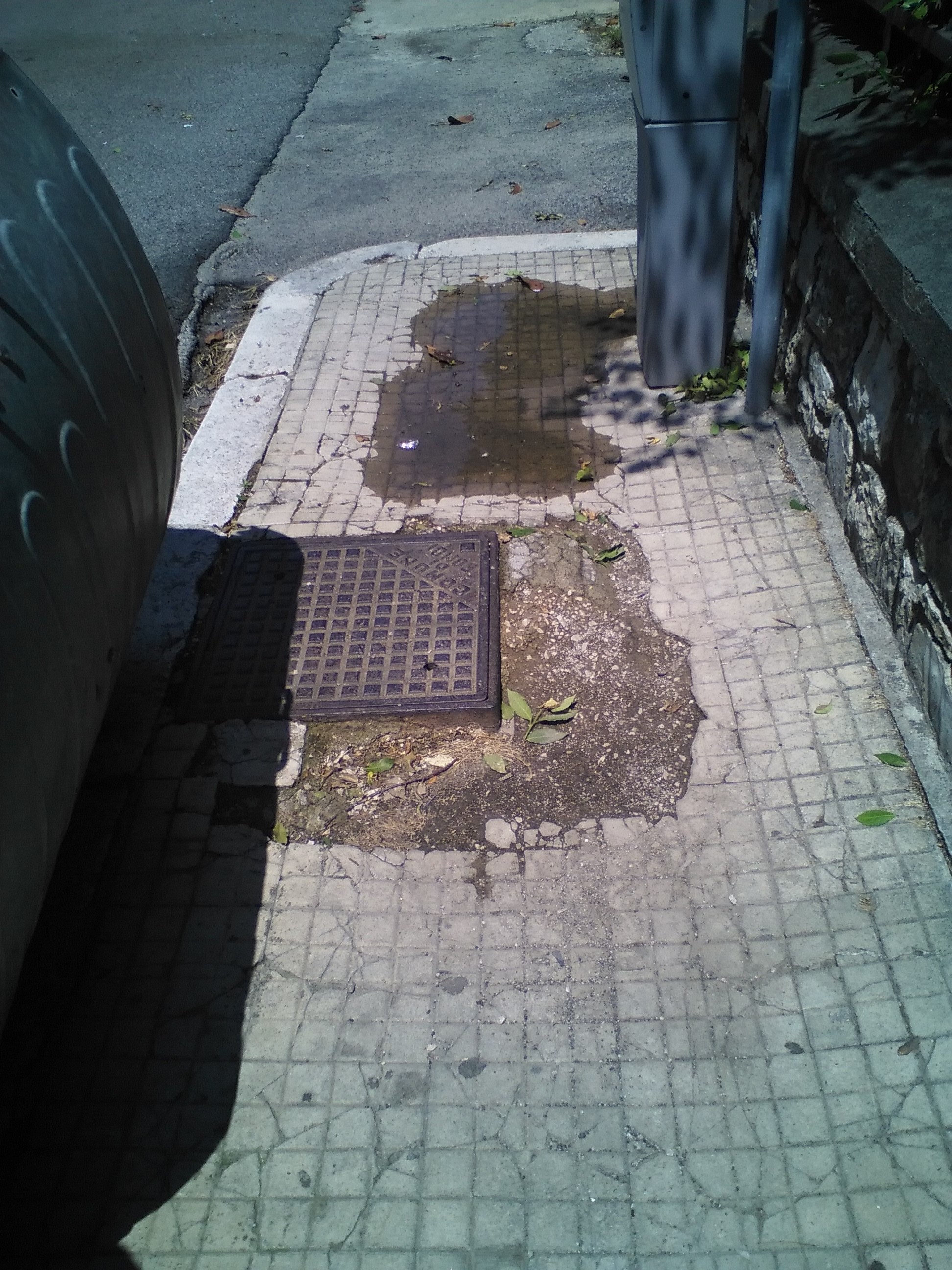 IMG_20150610_120821.jpg