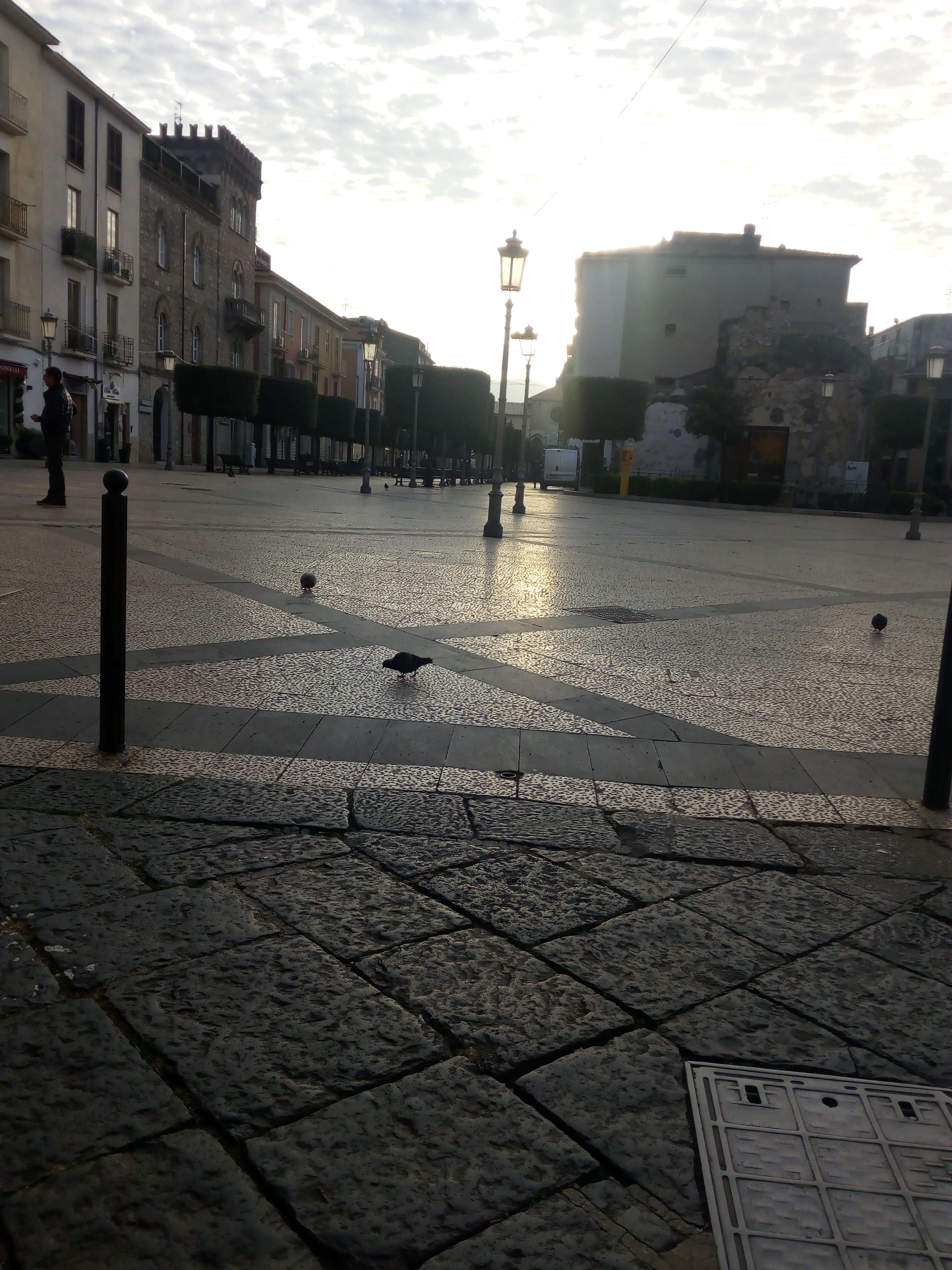 IMG_20181206_082607.jpg