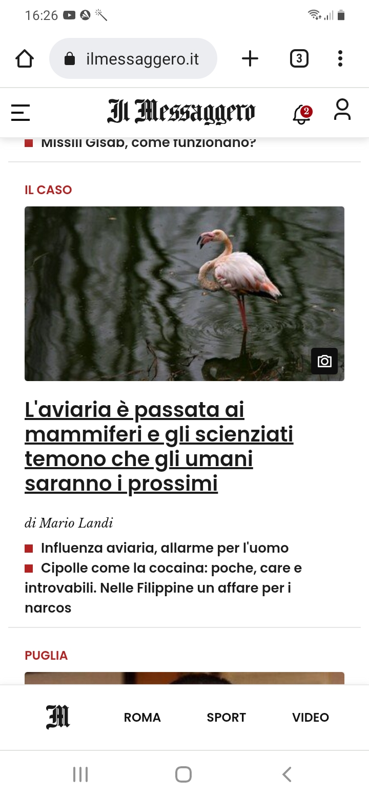 Screenshot_20230202-162618_Chrome.jpg
