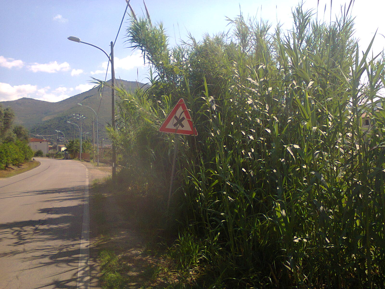 upload_2015-6-18_13-32-54.jpeg