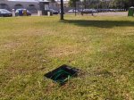 IMG_20150609_095620.jpg