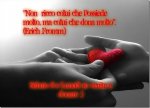pizap.com14386798748221.jpg