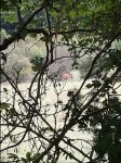 20150820_145353.jpg