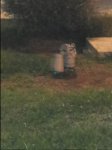 20150826_233821.jpg