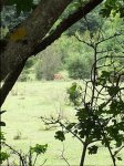 20150820_145428.jpg