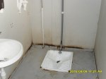 SDC10544.JPG