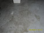 SDC10546.JPG
