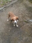 IMG_20160514_120924.jpg