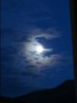 20161115_062353.jpg