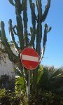 20170106_131555.jpg