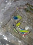 IMG_20170131_082831.jpg