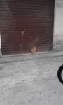 20170209_150821.jpg