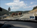 20170826_141618.jpg