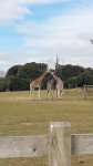 IMG-20180721-WA0023.jpg