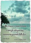 IMG-20220126-WA0003.jpg
