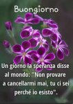 IMG-20220717-WA0000.jpg