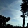 Scie chimiche Fondi