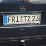 Amico Fritz