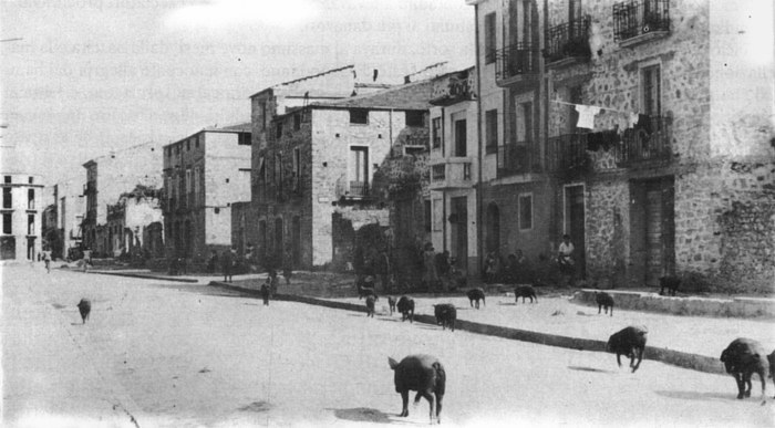 Maialini