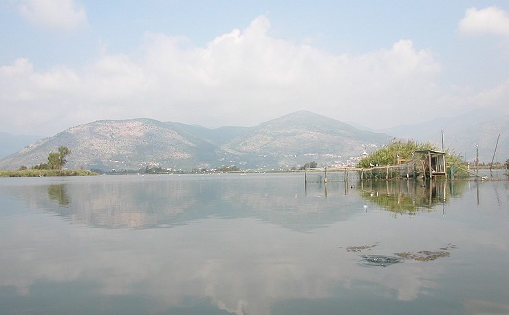Gabbiotto