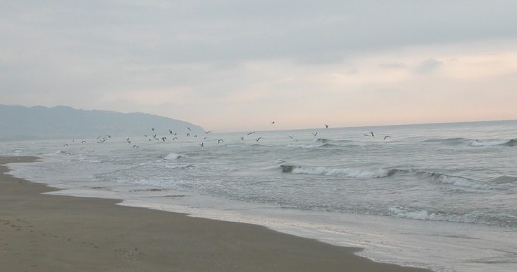 Mare d'inverno