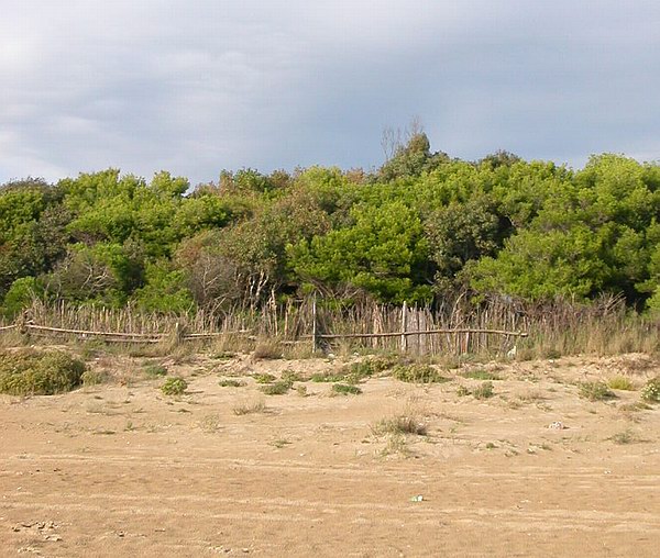 Mare d'inverno