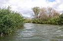 Canale