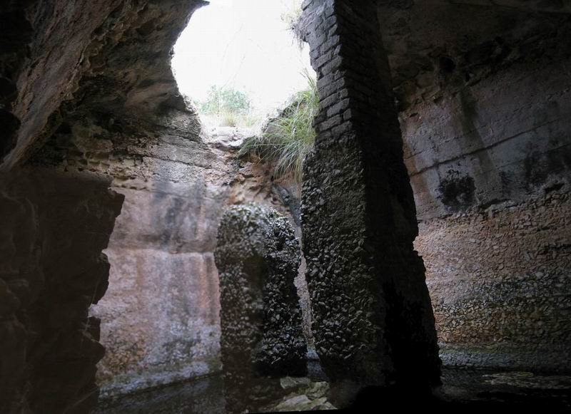 Clicca per ingrandire (dim: 800x581)
